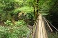 Wooden suspension bridge in wood, wide angle