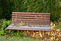 Wooden swing with back wooden paneling brown color. covered with leaves of a butternut tree. lawn, hedge of yew. Royalty Free Stock Photo