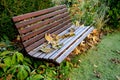 Wooden swing with back wooden paneling brown color. covered with leaves of a butternut tree. lawn, hedge of yew. Royalty Free Stock Photo