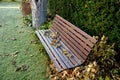 Wooden swing with back wooden paneling brown color. covered with leaves of a butternut tree. lawn, hedge of yew. Royalty Free Stock Photo