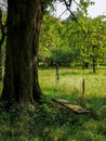 Swing in an enchanted garden Royalty Free Stock Photo