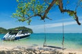 Wooden swing chair hanging on tree near beach at island in Phuket, Thailand. Summer Vacation Travel and Holiday concept. Royalty Free Stock Photo