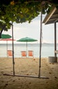 wooden swing hangin on tree at tropical beach Royalty Free Stock Photo