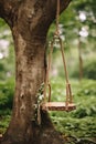 wooden swing hanging from a strong tree branch