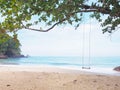 wooden swing hanging under big tree on the beach Royalty Free Stock Photo
