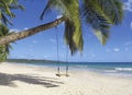 Wooden swing on palm tree on tropical golden sand beach. Caribbean landscape. Swing hangs under coconut tree in beautiful tropical Royalty Free Stock Photo