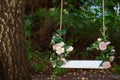 Wooden swing in playground outdoors. Empty swing placed in park. Wedding swing decorated with flowers roses. Garden swing hanging Royalty Free Stock Photo