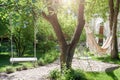 Wooden swing on ropes and hammock under the big tree in the garden. Royalty Free Stock Photo