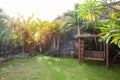 Wooden swing on the small green backyard. Royalty Free Stock Photo