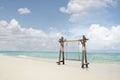 Wooden swing on summer tropic beach