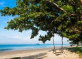 Wooden swing on a tropical beach Royalty Free Stock Photo