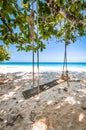 Wooden Swing and weathered rope on Beautiful tropical beach Royalty Free Stock Photo