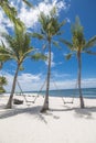 Wooden swings tied to coconut palm trees. At Dumaluan Beach, Panglao Island, Bohol, Philippines.