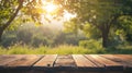 Sunlit Wooden Table Surrounded by Trees in Natural Setting