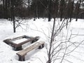 Wooden table and bench withered in the snow in the forest