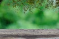 Wooden table with blur green leaf and bamboo leave background.perspective view for display products Royalty Free Stock Photo