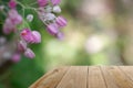 Wooden table with blur green leave and pink flower background.perspective view for display products Royalty Free Stock Photo