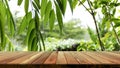 Wooden table and blurred green leaf nature in garden background. Free place for creativity. Background Royalty Free Stock Photo