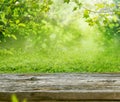 wooden table and blurred spring landscape background with tree branches and grass