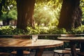 Wooden table in a cafe outdoors, under the trees Royalty Free Stock Photo