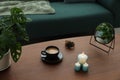 Wooden table with cup of coffee, candles, mirror, wristwatch and houseplant near sofa in room. Interior design