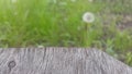 Wooden table and dandelion in the background