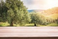 Wooden table for display montages with olive trees on background