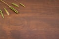 Wooden table with ears of wheat and rye with copy space Royalty Free Stock Photo