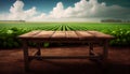 Wooden table in the field of soybean