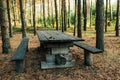 Wooden table in the forest. Camping Royalty Free Stock Photo