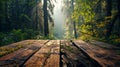 Wooden Table in Forest Clearing, A Tranquil Spot for Nature Lovers