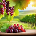 Wooden table with fresh red grapes and free space on nature blurred vineyard Generated Royalty Free Stock Photo