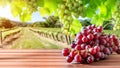 Wooden table with fresh red grapes and free space on nature blurred background, vineyard field. Generated AI. Royalty Free Stock Photo