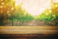 Wooden table in front of blurred vineyard landscape Royalty Free Stock Photo