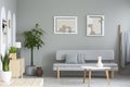 Wooden table in front of grey sofa in simple living room interior with posters and plants. Real photo Royalty Free Stock Photo