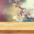 wooden table in front of spring cherry tree Royalty Free Stock Photo