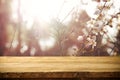 wooden table in front of spring white cherry blossoms tree Royalty Free Stock Photo