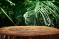 wooden table in front of tropical green Monstera leaves floral background. for product display and presentation Royalty Free Stock Photo