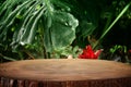 wooden table in front of tropical green Monstera leaves floral background. for product display and presentation Royalty Free Stock Photo