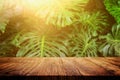 wooden table in front of tropical green Monstera leaves floral background. for product display and presentation Royalty Free Stock Photo