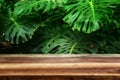 wooden table in front of tropical green Monstera leaves floral background. for product display and presentation Royalty Free Stock Photo