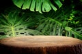 wooden table in front of tropical green Monstera leaves floral background. for product display and presentation Royalty Free Stock Photo