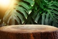 wooden table in front of tropical green Monstera leaves floral background. for product display and presentation Royalty Free Stock Photo