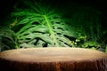 wooden table in front of tropical green Monstera leaves floral background. for product display and presentation Royalty Free Stock Photo