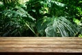 wooden table in front of tropical green Monstera leaves floral background. for product display and presentation Royalty Free Stock Photo