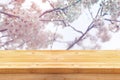 wooden table in front of white cherry tree