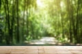 A wooden table with a green background and the sun shining through the trees Royalty Free Stock Photo