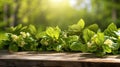 Wooden table with green leaves and flowers in the garden. Nature background Royalty Free Stock Photo