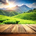 Wooden Table with Green Tea Mountain and Grass Field Blur Royalty Free Stock Photo