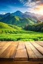 Wooden Table with Green Tea Mountain and Grass Field Blur Royalty Free Stock Photo